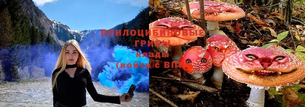 молекула духа Краснотурьинск