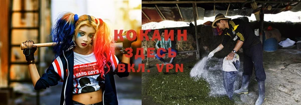 стаф Красноперекопск